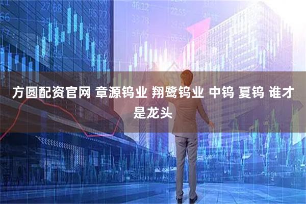 方圆配资官网 章源钨业 翔鹭钨业 中钨 夏钨 谁才是龙头