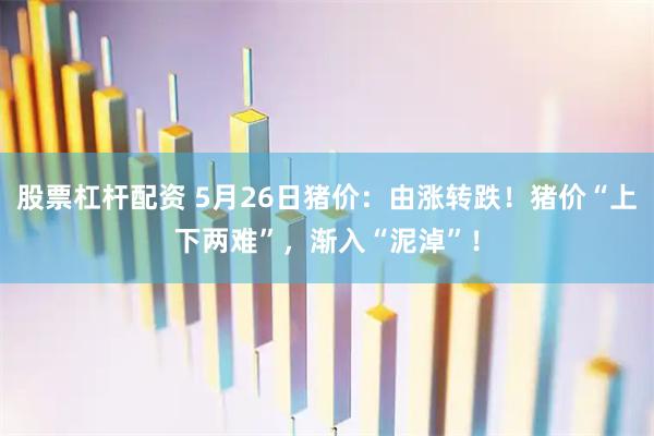 股票杠杆配资 5月26日猪价：由涨转跌！猪价“上下两难”，渐入“泥淖”！